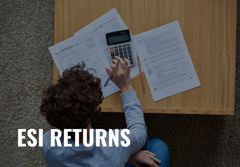 ESI Returns