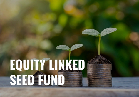 Equity Linked Seed Fund