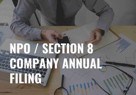 NPO _ Section 8 Company Annual Filing