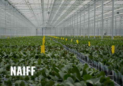 Private Lending - NAIFF