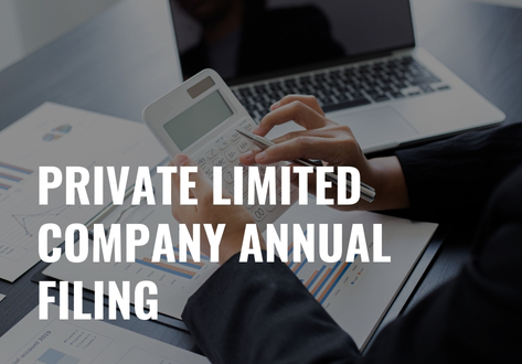 Private Limited Company Annual Filing