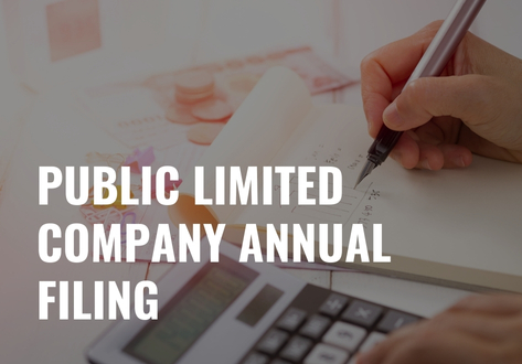 Public Limited Company Annual Filing