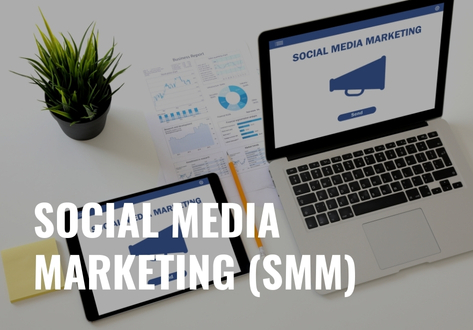 Social Media Marketing (SMM)
