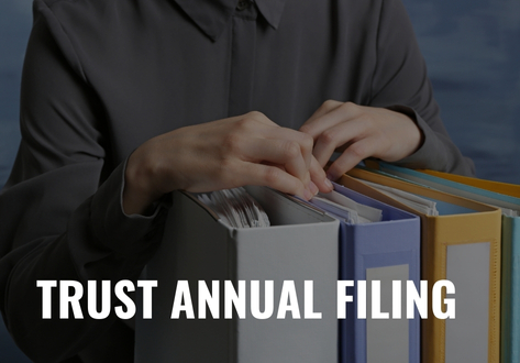 Trust Annual Filing
